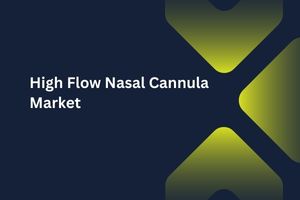 High Flow Nasal Cannula Market by Component (Single Heated Tube, Nasal Cannula, Air/Oxygen Blender), Application (Acute Respiratory Failure, Chronic Obstructive Pulmonary Disease (COPD), Carbon Monoxide Toxicity), End User (Hospitals, Ambulatory Care Centers) - Global Outlook and Forecast 2023-2031