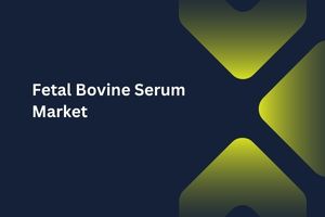 Fetal Bovine Serum Market by Application (Drug discovery, In-vitro Fertilization, Vaccine Production), End User (Pharmaceutical & Biotechnology companies, Contract Research Organizations) – Global Outlook & Forecast 2023-2031