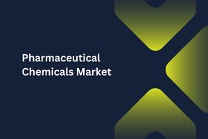 Pharmaceutical Chemicals Market by Type (Chemical Reagents, Active Pharmaceutical Ingredients), By End User (Academic Research Institutes, Pharmaceutical, and Biopharmaceutical Manufacturers) - Global Outlook and Forecast 2023-2031
